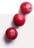 Cystiolla