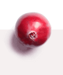 Cystiolla