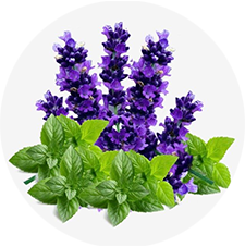 Чем отличается гель Green Pain Relief Cream от других средств