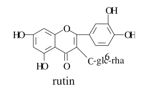 b5