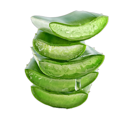 composición