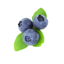 bluberry