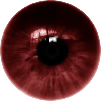 eye