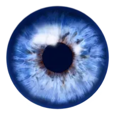 eye