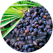 Uromexil Forte