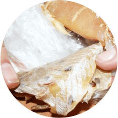 Detoxil Water Parasites