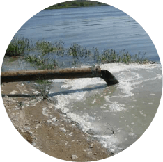 Detoxil Water Parasites