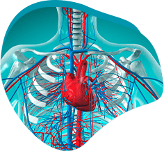 Vantaggio 1