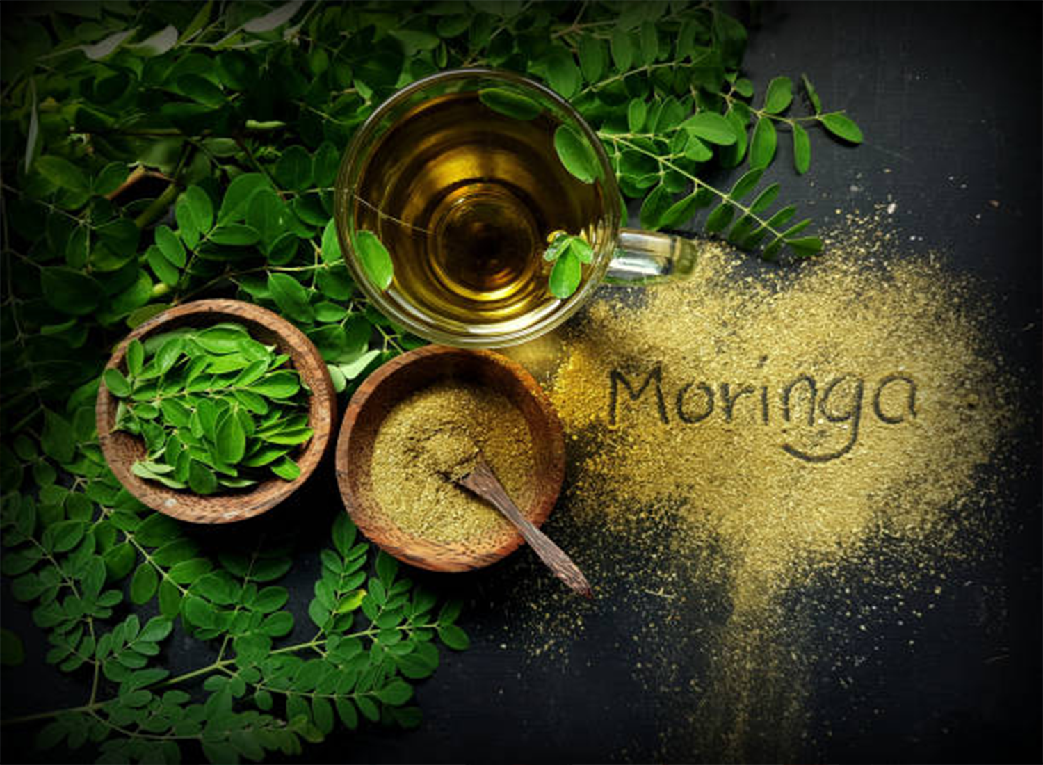 Frunze de Moringa