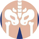 Pelvic-femoral joints