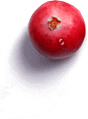 Urigan