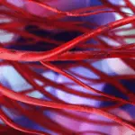 Likwiduje sine owrzodzenia