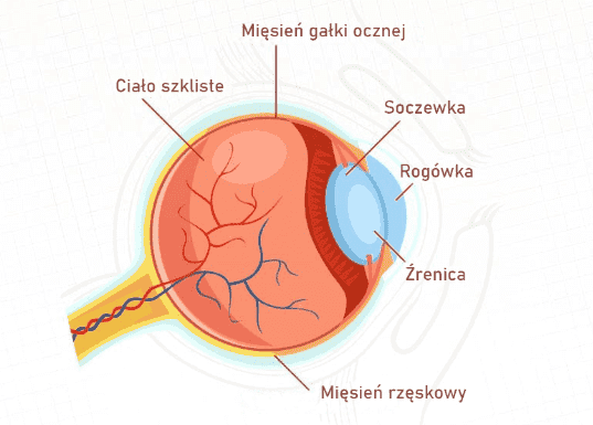 image eye