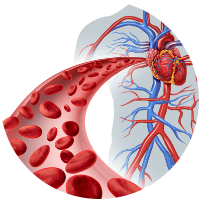 CardioTensive