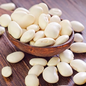 White kidney bean extract