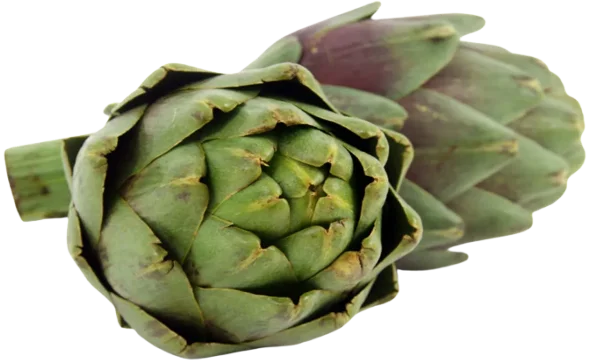 pianta