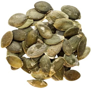 pianta