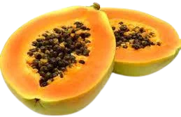 pianta