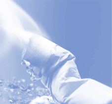 Kúpiť FlexaVerde za zvýhodnenú cenu. Ceny, recenzie. Objednajte FlexaVerde ešte dnes!