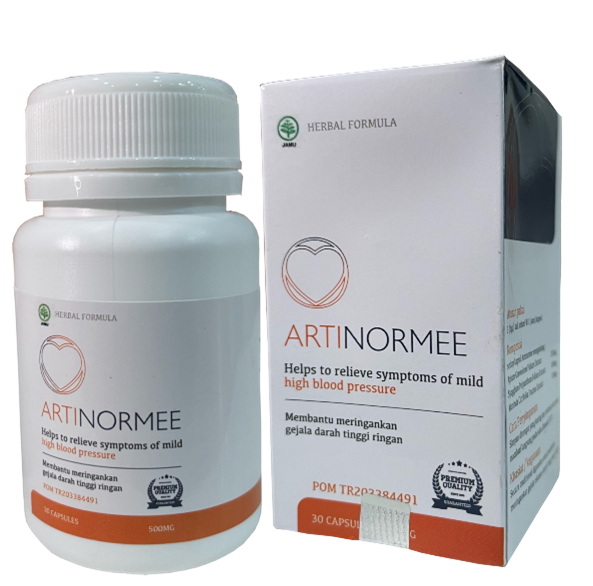 Artinormee Produk