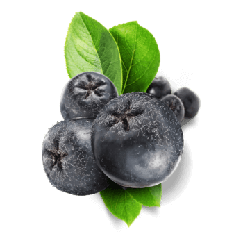 Bacche di aronia