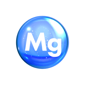 Magnesio