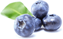 berry