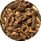 Korzeń Sarsaparilla