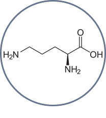 Vitamina A and E