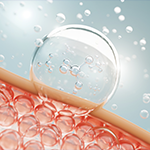 Augmente la production de liquide synovial naturel de 170 %