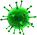 virus