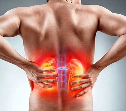 Insuficiência renal