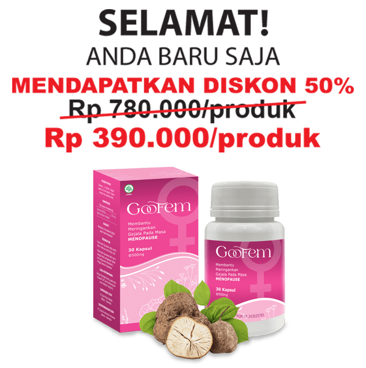 GOOFEM Product