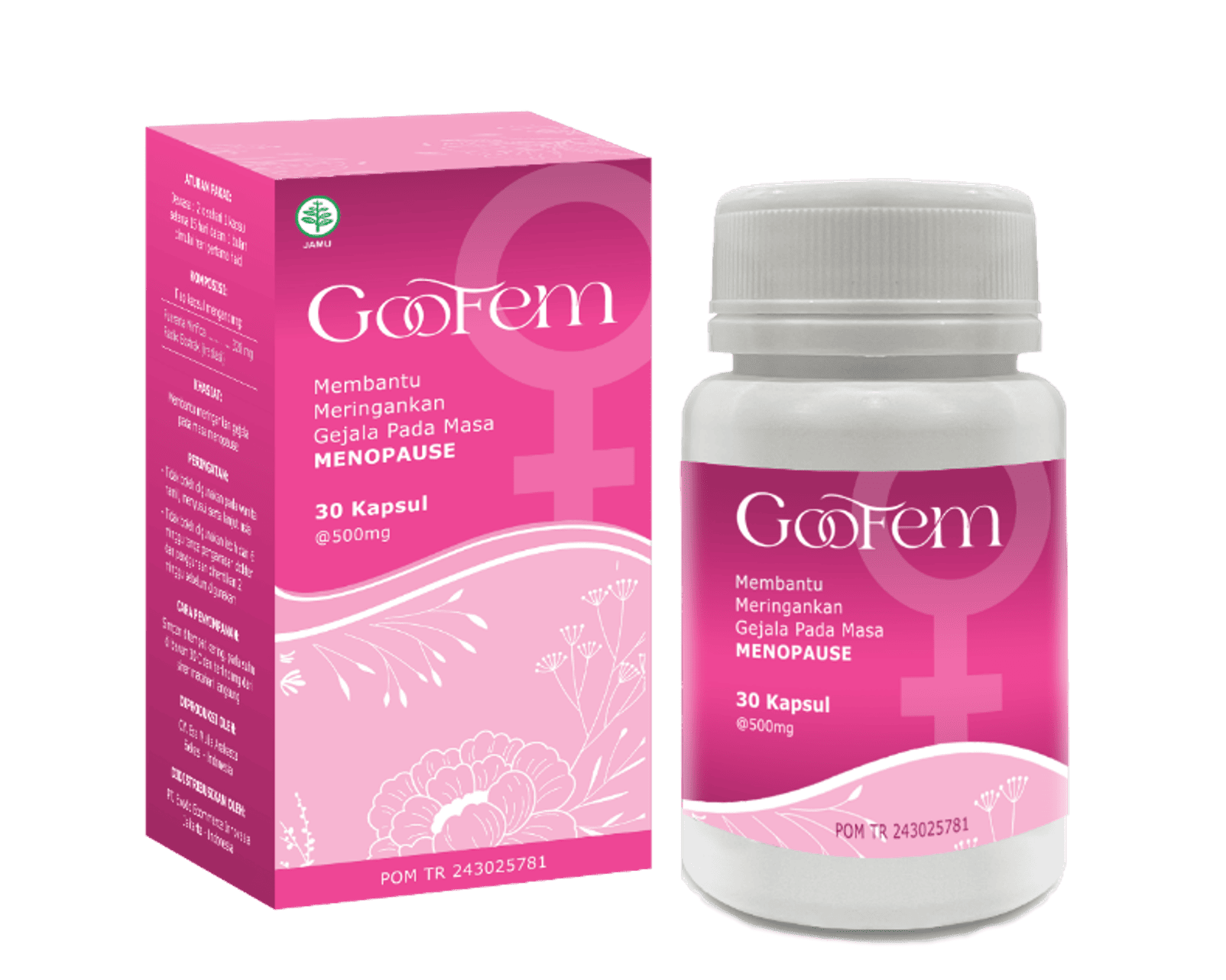 Goofem