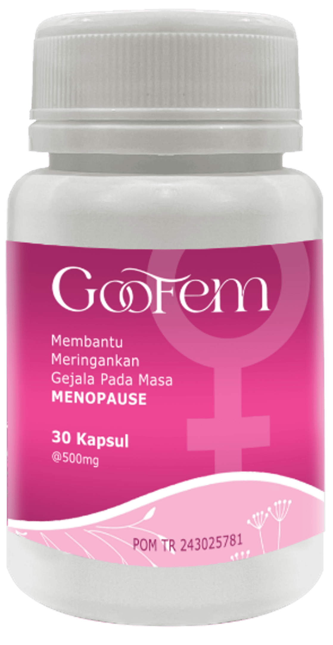 Goofem
