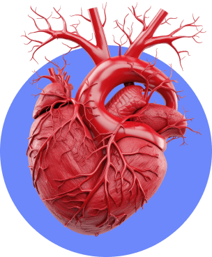 heart in a circle image