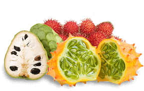 fruits