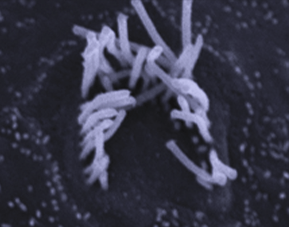 be