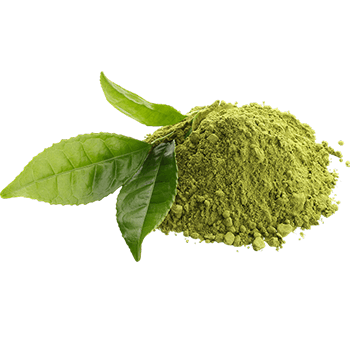 Estratto di mirtillo rosso