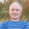 házaspár szemüvegben