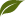 pipa