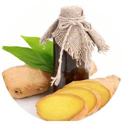 Ginger Root Oil