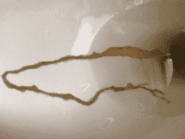 комментарийИзображение